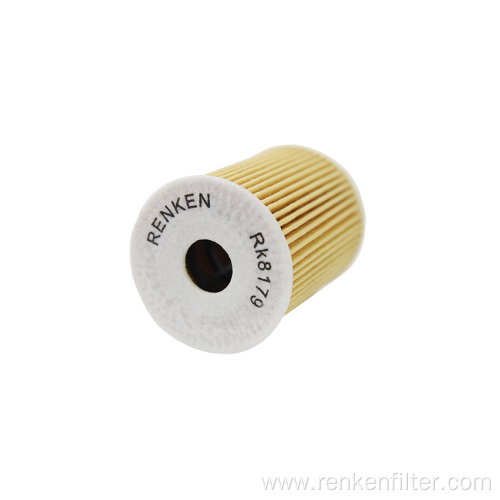 RENKEN Oil Filter RK8179